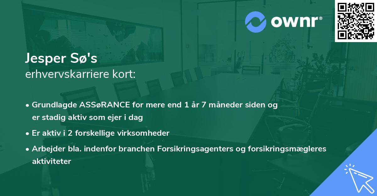 Jesper Sø's erhvervskarriere kort