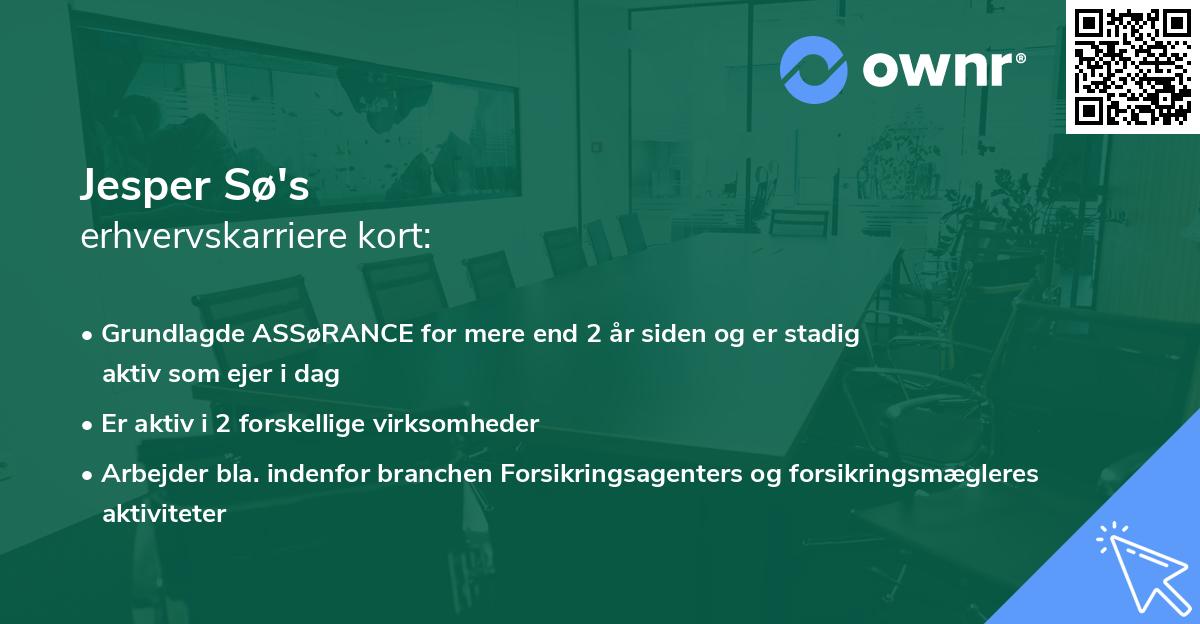 Jesper Sø's erhvervskarriere kort