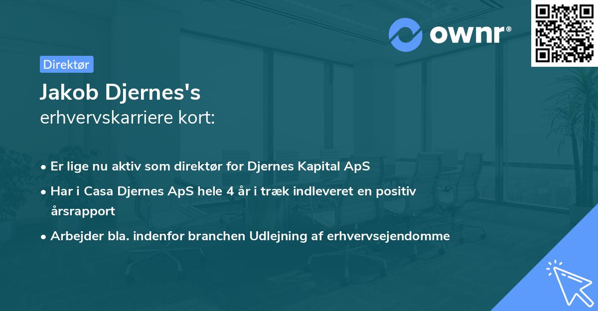 Jakob Djernes's erhvervskarriere kort