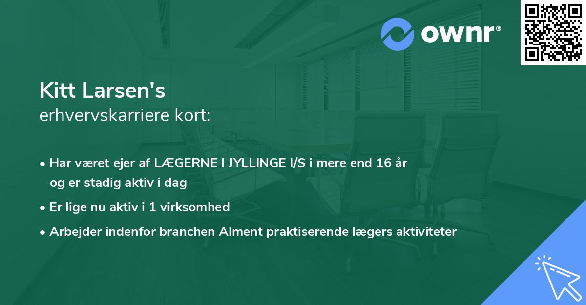 Kitt Larsen's erhvervskarriere kort