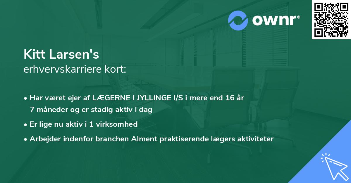 Kitt Larsen's erhvervskarriere kort