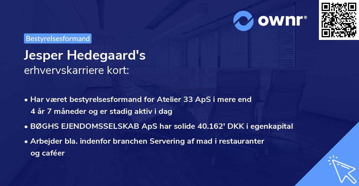 Jesper Hedegaard's erhvervskarriere kort