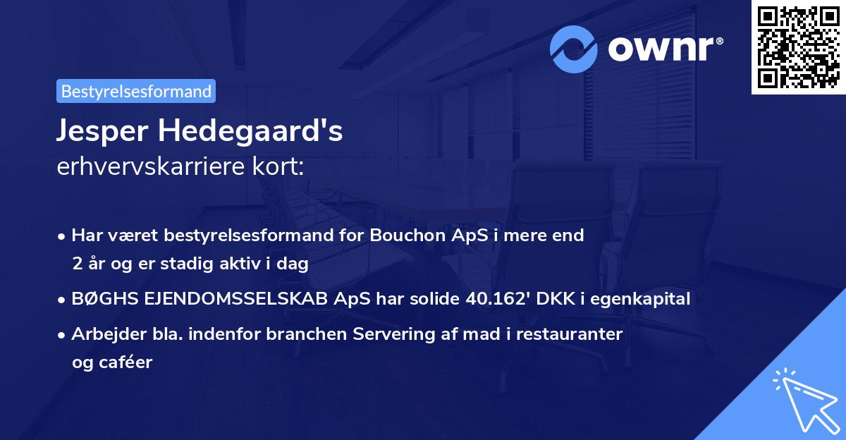 Jesper Hedegaard's erhvervskarriere kort