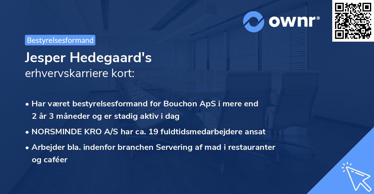 Jesper Hedegaard's erhvervskarriere kort