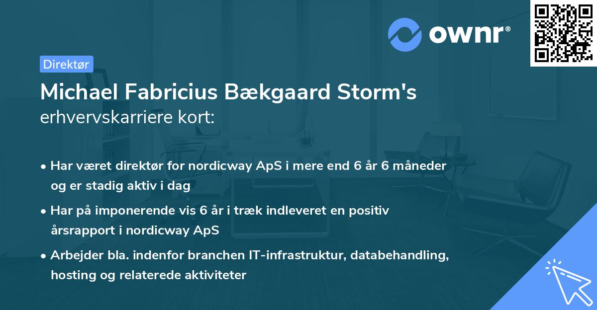 Michael Fabricius Bækgaard Storm's erhvervskarriere kort