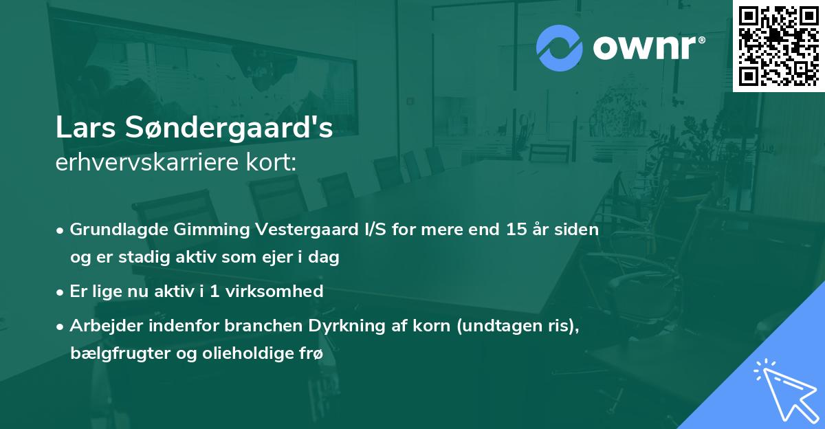 Lars Søndergaard's erhvervskarriere kort