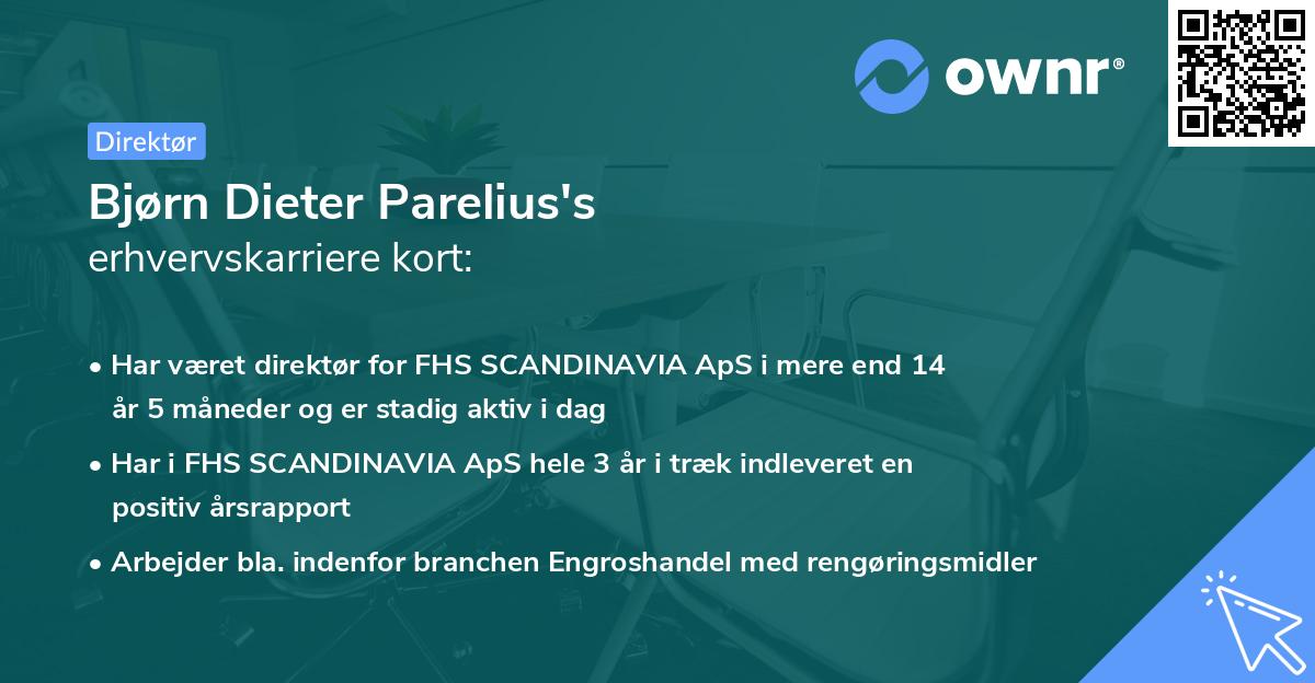 Bjørn Dieter Parelius's erhvervskarriere kort
