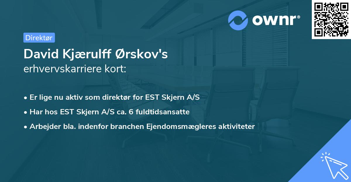 David Kjærulff Ørskov's erhvervskarriere kort