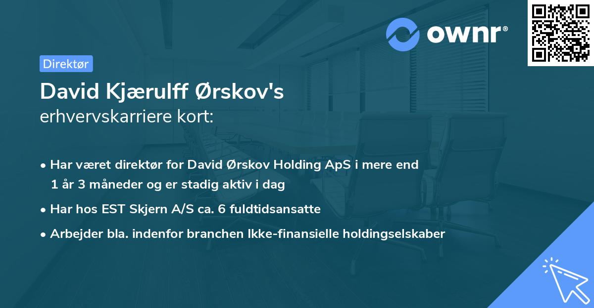 David Kjærulff Ørskov's erhvervskarriere kort