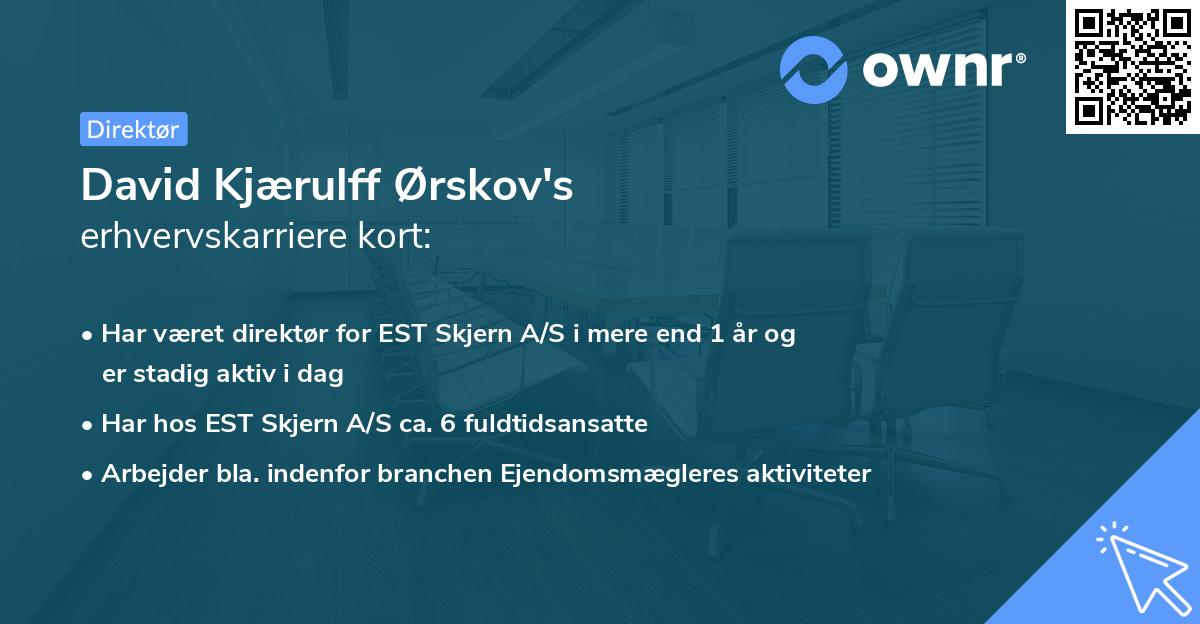 David Kjærulff Ørskov's erhvervskarriere kort
