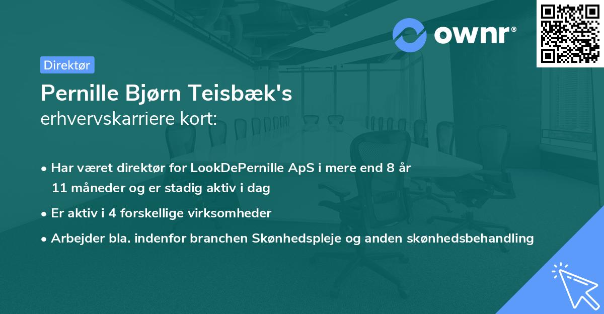 Pernille Bjørn Teisbæk's erhvervskarriere kort