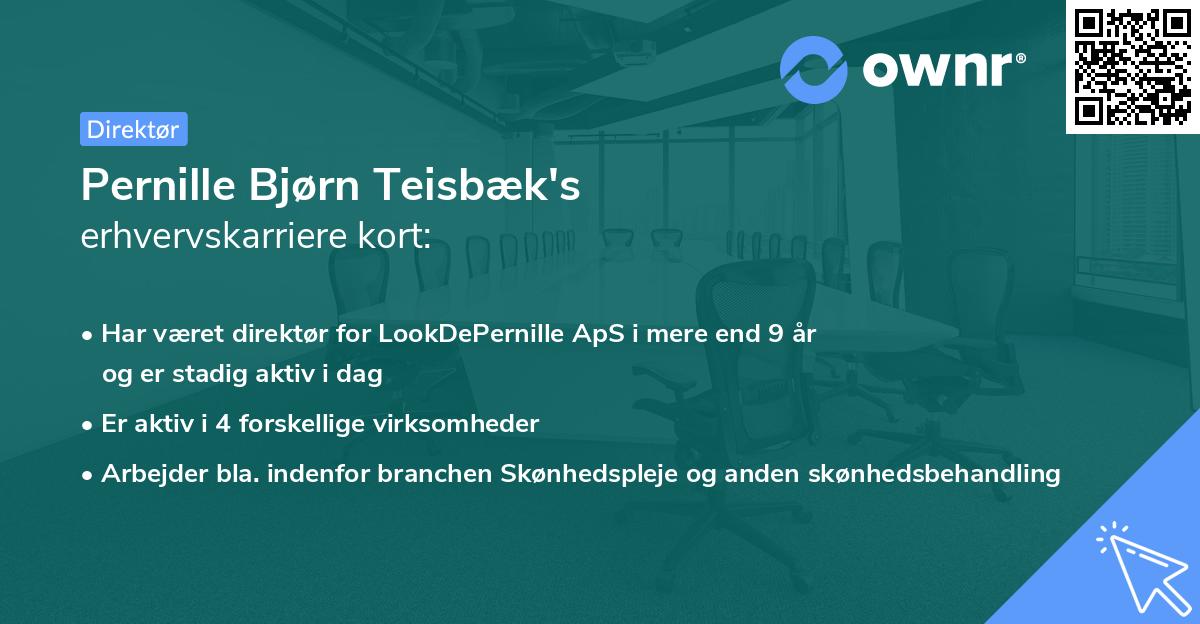 Pernille Bjørn Teisbæk's erhvervskarriere kort