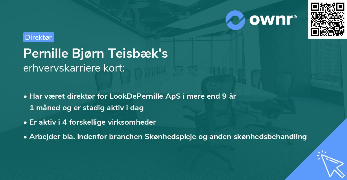 Pernille Bjørn Teisbæk's erhvervskarriere kort