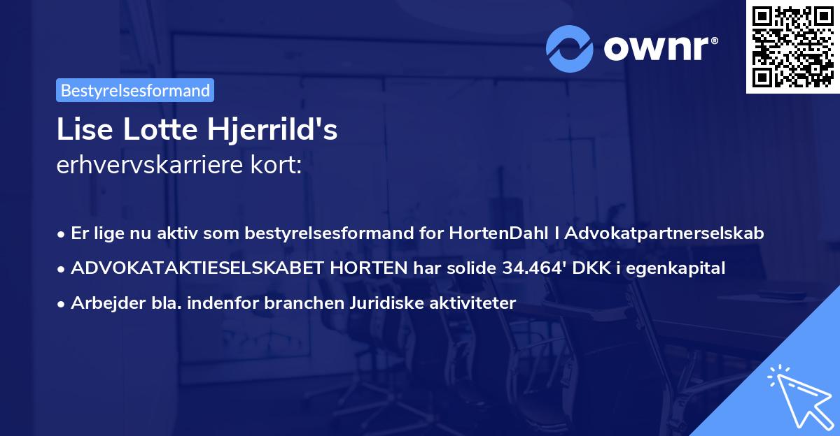 Lise Lotte Hjerrild's erhvervskarriere kort