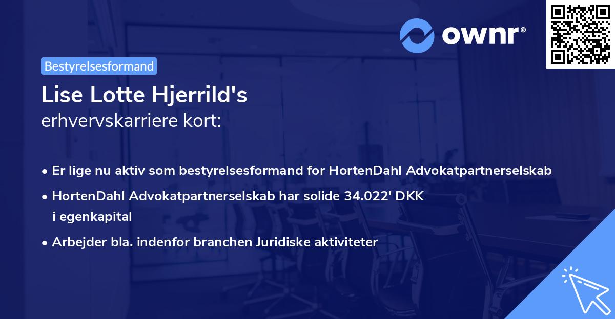 Lise Lotte Hjerrild's erhvervskarriere kort