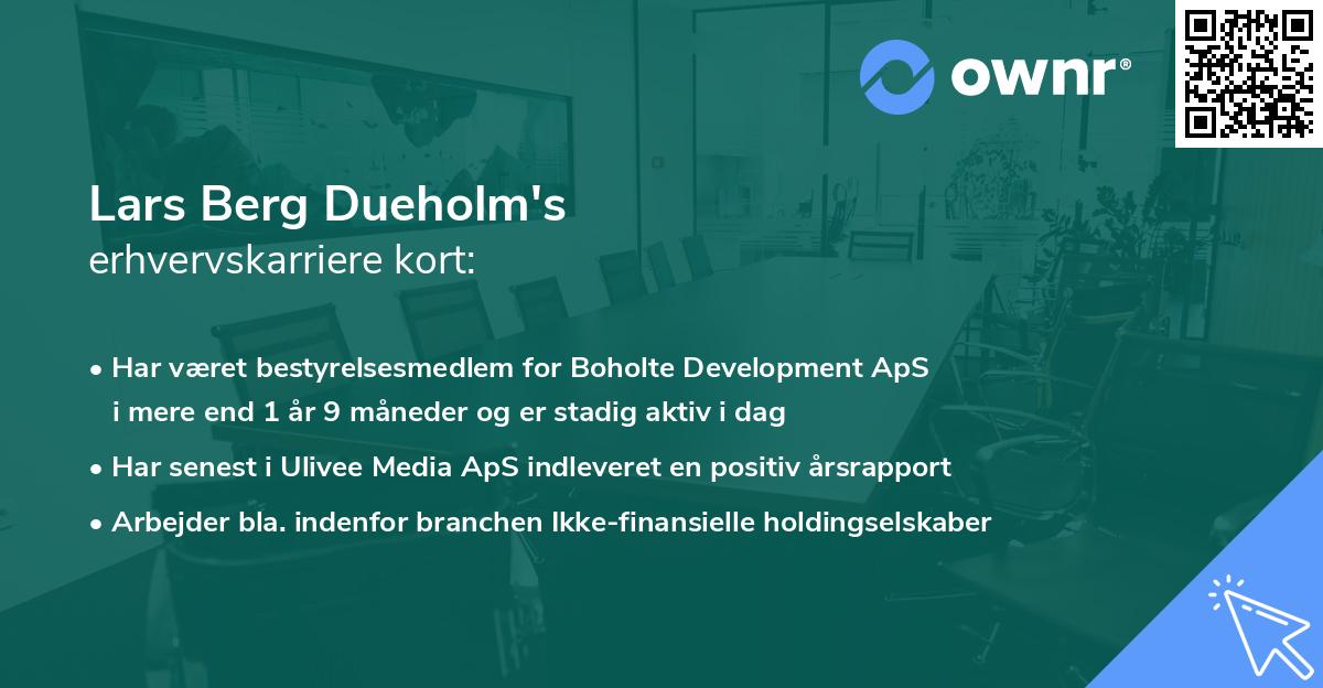 Lars Berg Dueholm's erhvervskarriere kort