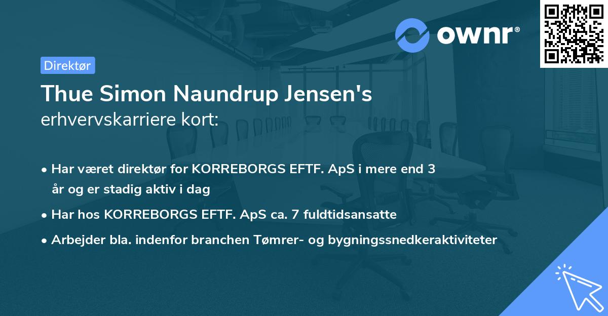 Thue Simon Naundrup Jensen's erhvervskarriere kort