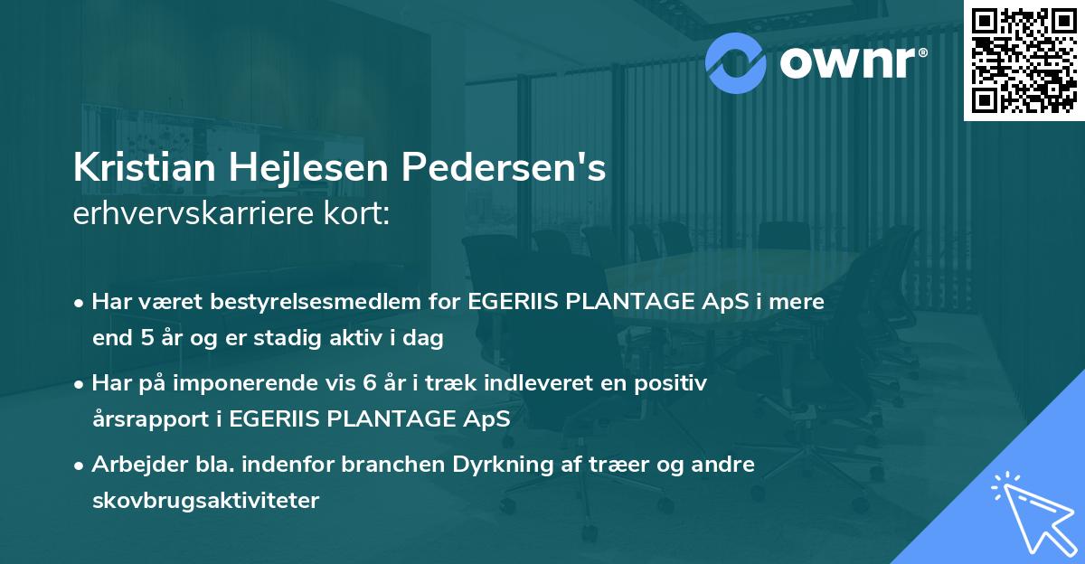 Kristian Hejlesen Pedersen's erhvervskarriere kort