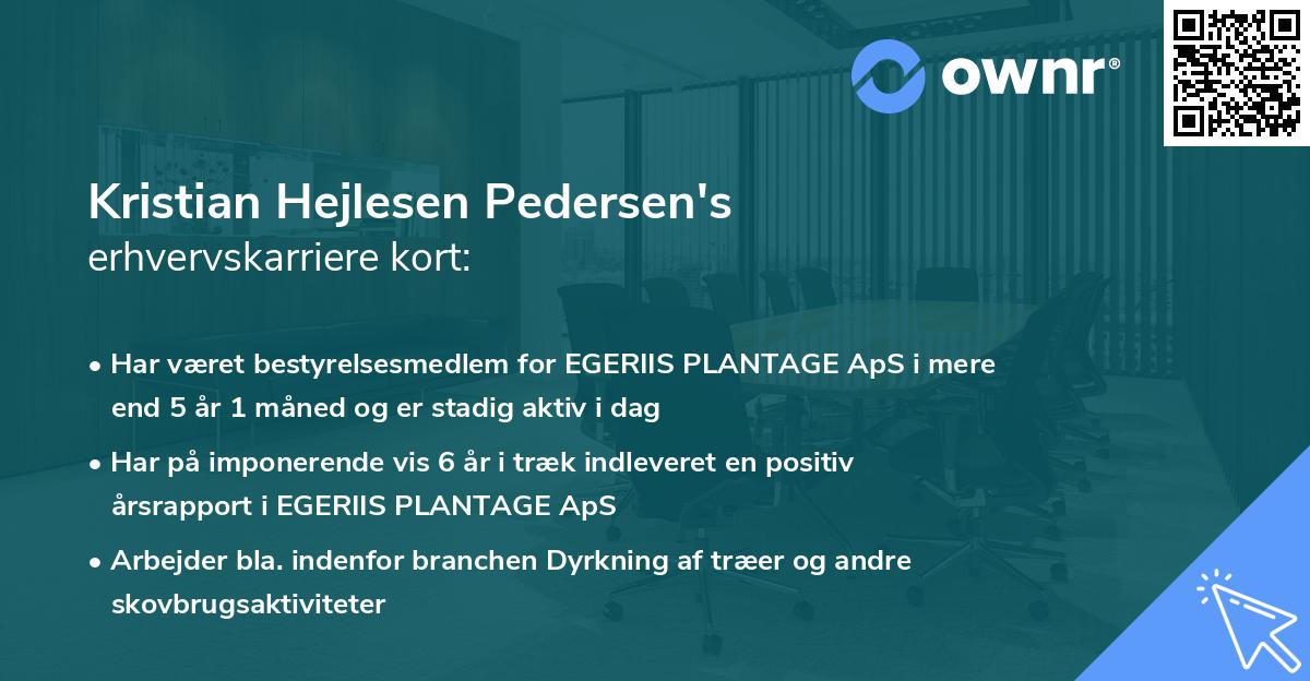 Kristian Hejlesen Pedersen's erhvervskarriere kort