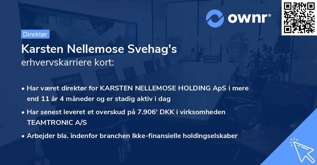 Karsten Nellemose Svehag's erhvervskarriere kort