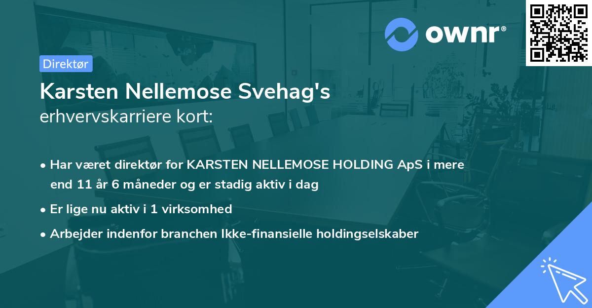 Karsten Nellemose Svehag's erhvervskarriere kort