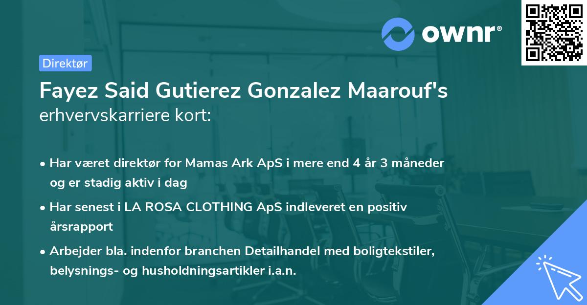 Fayez Said Gutierez Gonzalez Maarouf's erhvervskarriere kort