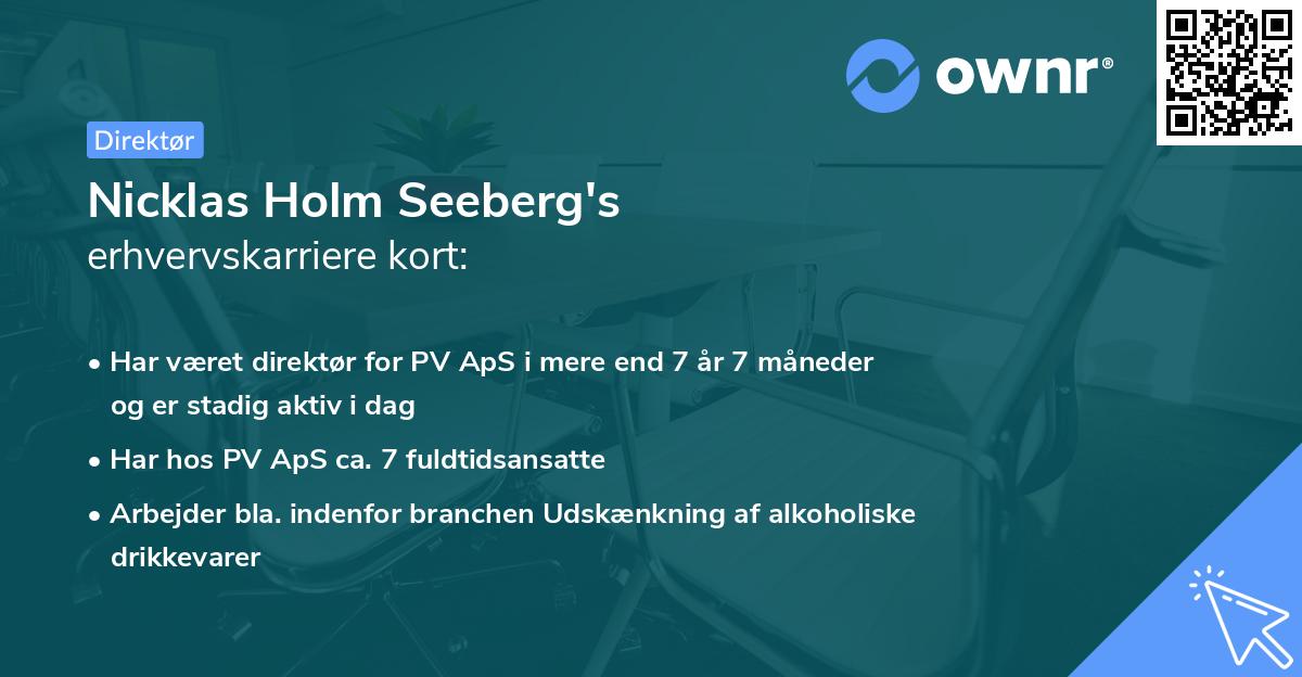 Nicklas Holm Seeberg's erhvervskarriere kort