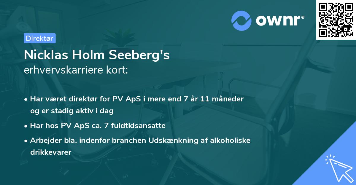 Nicklas Holm Seeberg's erhvervskarriere kort