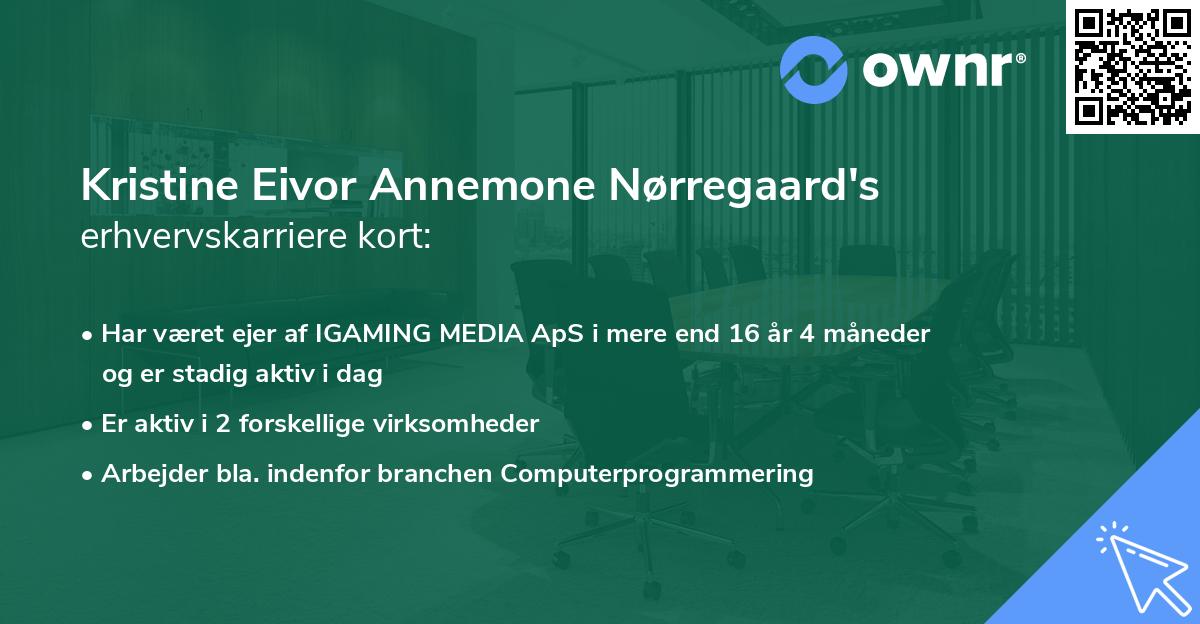 Kristine Eivor Annemone Nørregaard's erhvervskarriere kort