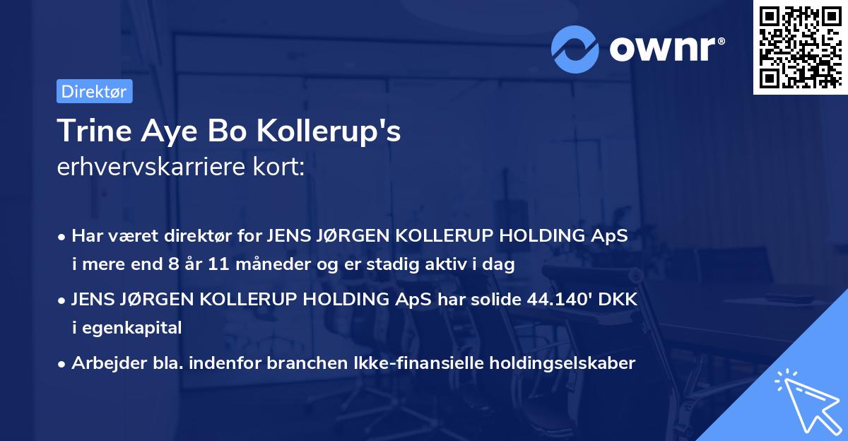Trine Aye Bo Kollerup's erhvervskarriere kort
