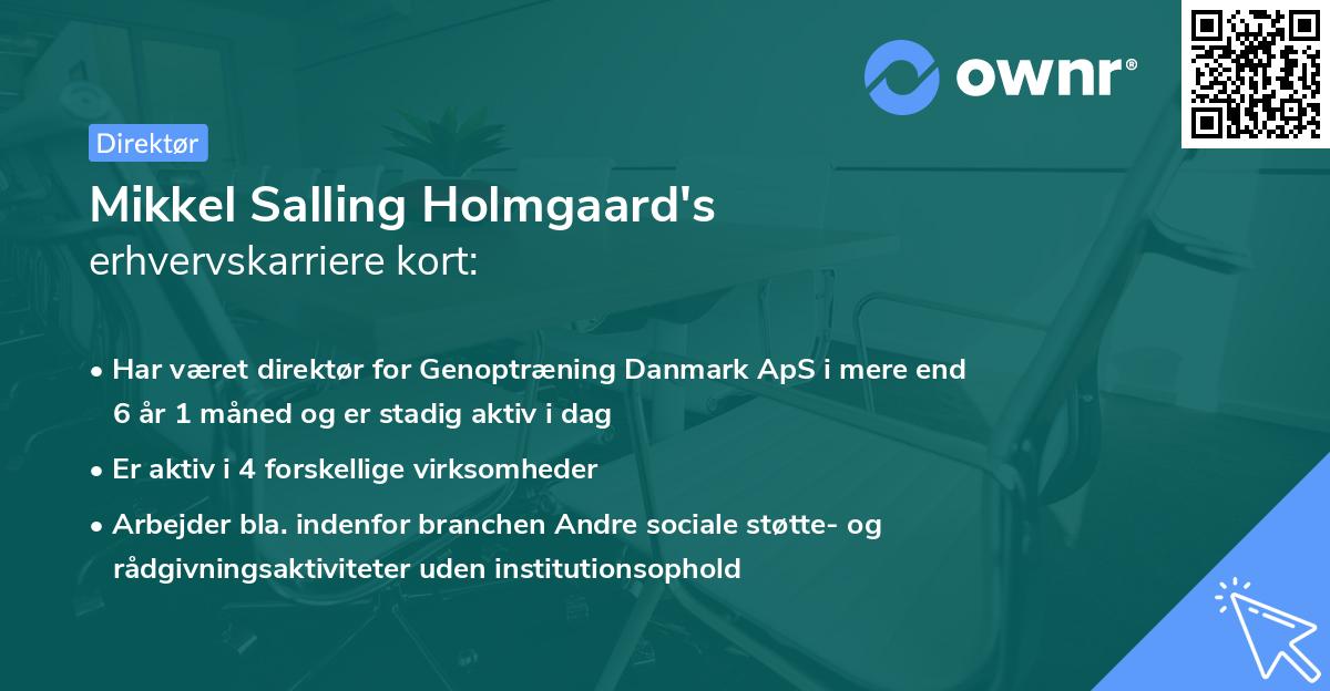Mikkel Salling Holmgaard's erhvervskarriere kort