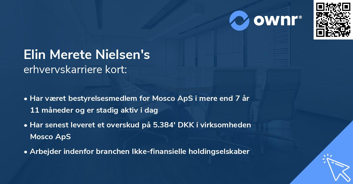 Elin Merete Nielsen's erhvervskarriere kort