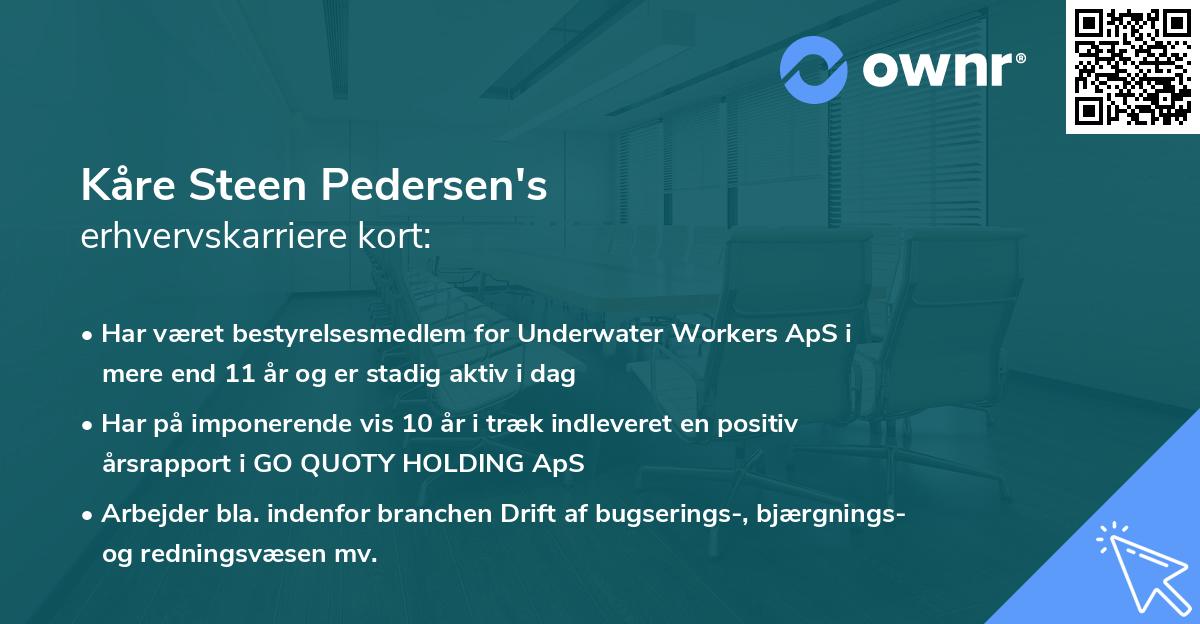 Kåre Steen Pedersen's erhvervskarriere kort