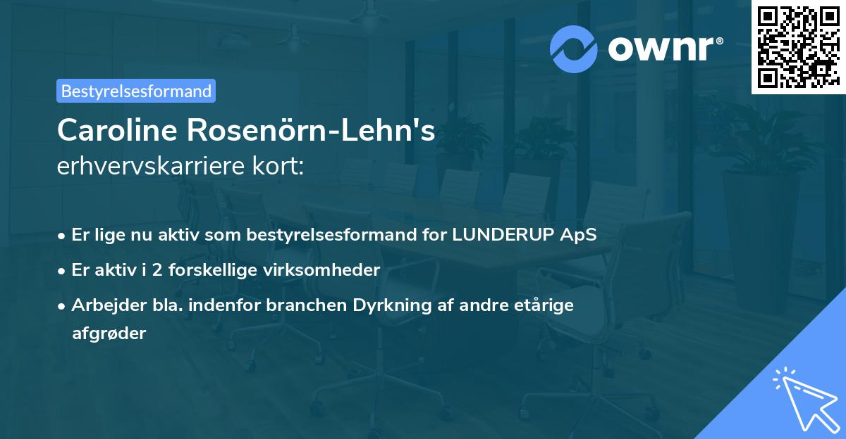 Caroline Rosenörn-Lehn's erhvervskarriere kort