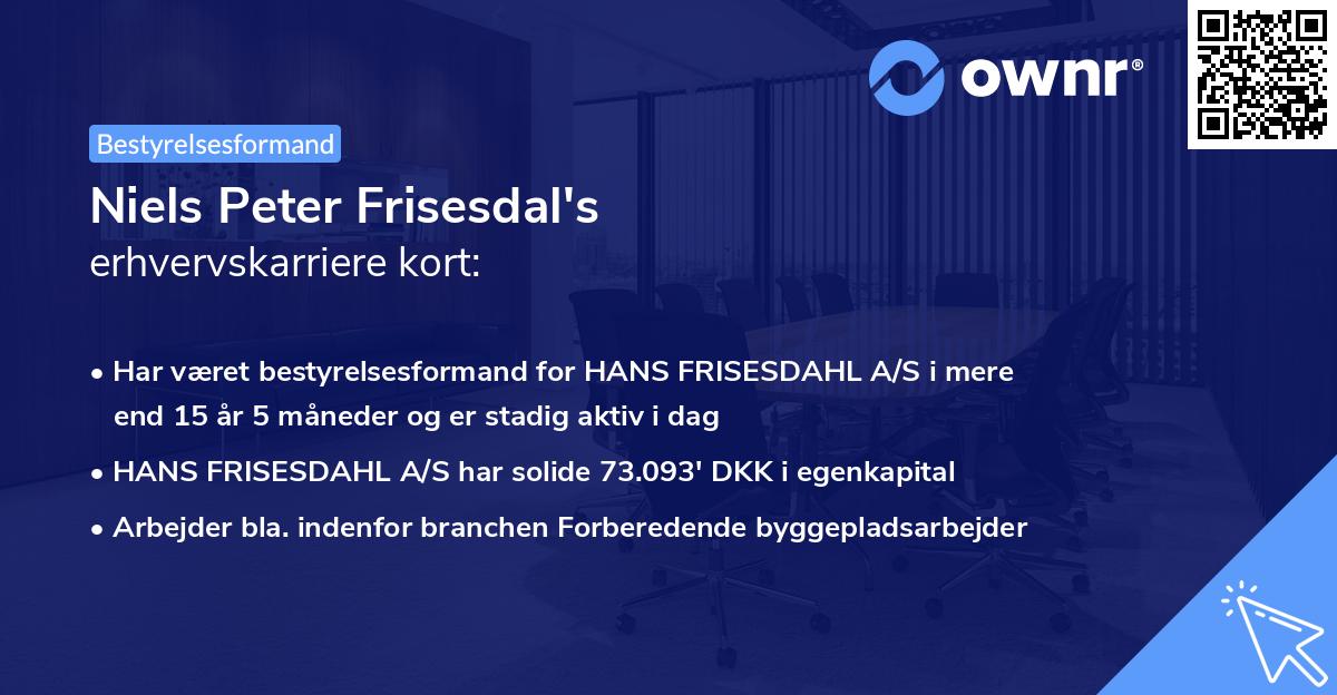 Niels Peter Frisesdal's erhvervskarriere kort