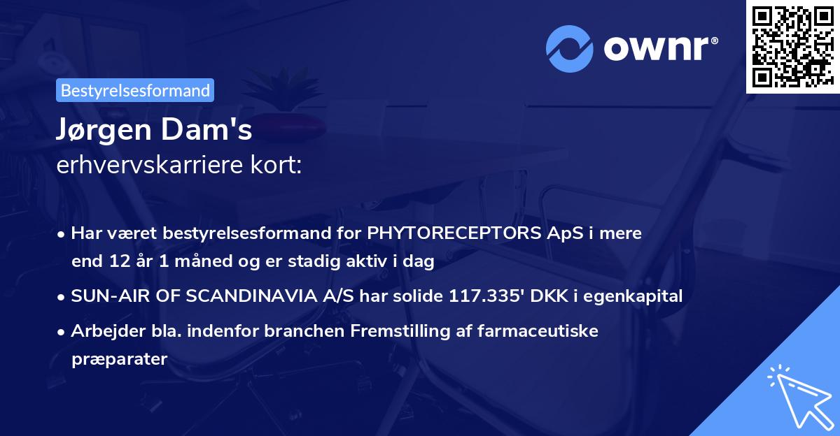 Jørgen Dam's erhvervskarriere kort
