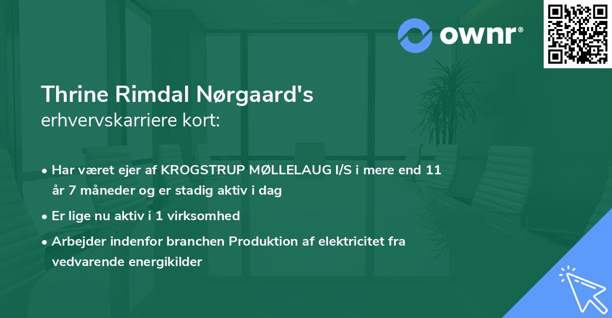 Thrine Rimdal Nørgaard's erhvervskarriere kort