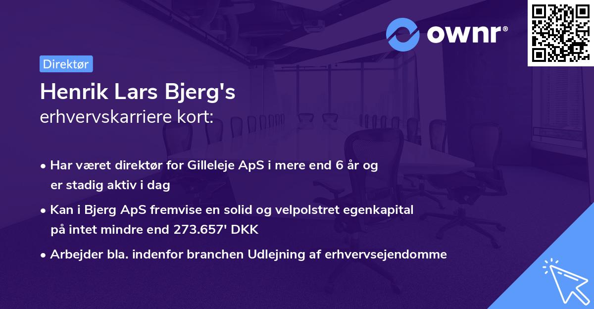 Henrik Lars Bjerg's erhvervskarriere kort