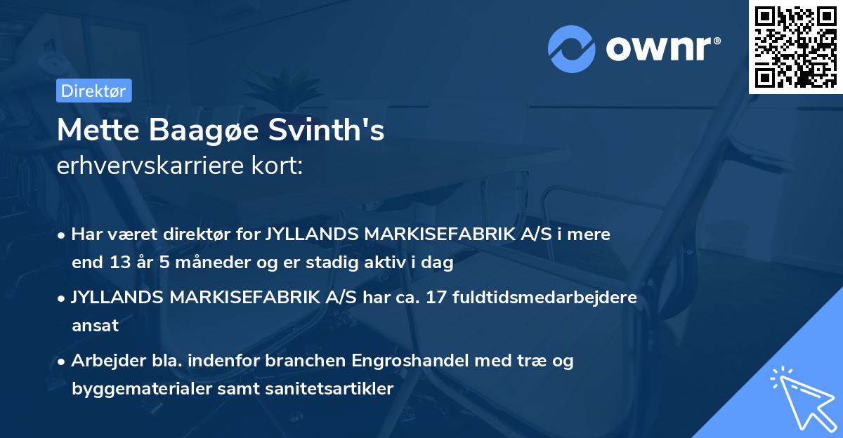 Mette Baagøe Svinth's erhvervskarriere kort