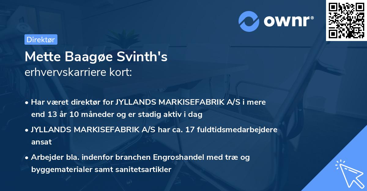 Mette Baagøe Svinth's erhvervskarriere kort