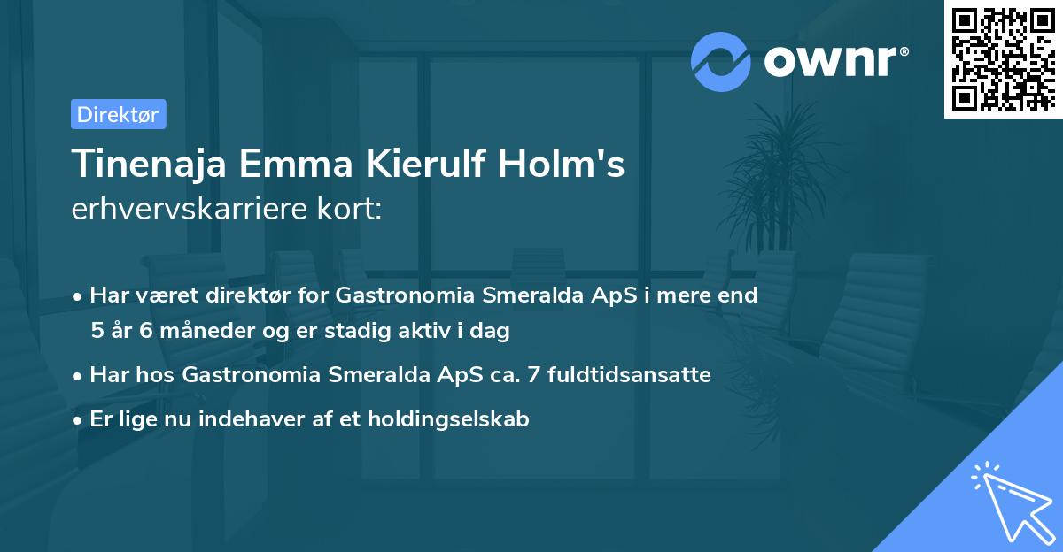 Tinenaja Emma Kierulf Holm's erhvervskarriere kort