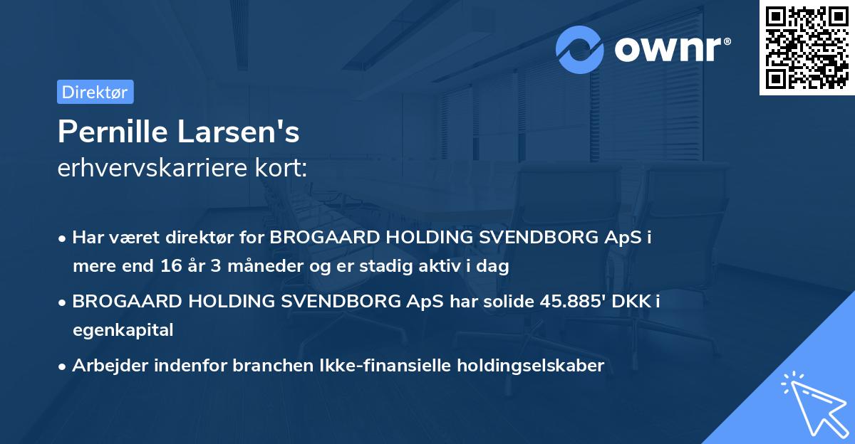 Pernille Larsen's erhvervskarriere kort