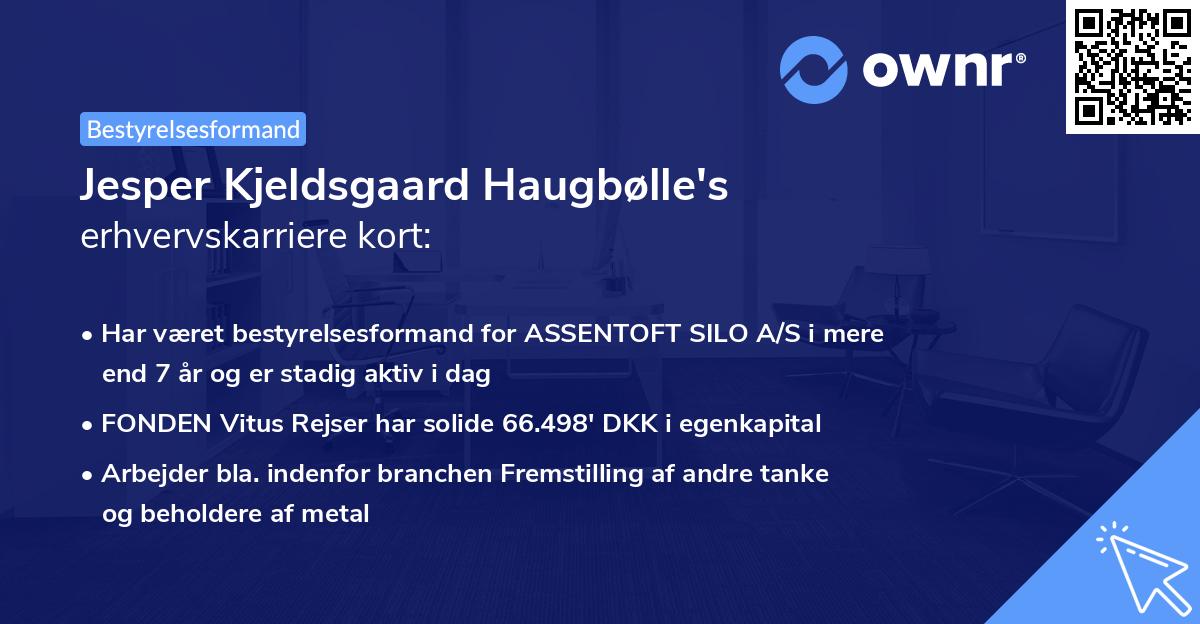 Jesper Kjeldsgaard Haugbølle's erhvervskarriere kort