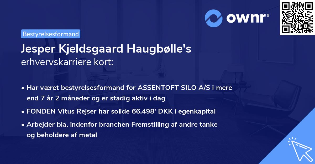Jesper Kjeldsgaard Haugbølle's erhvervskarriere kort