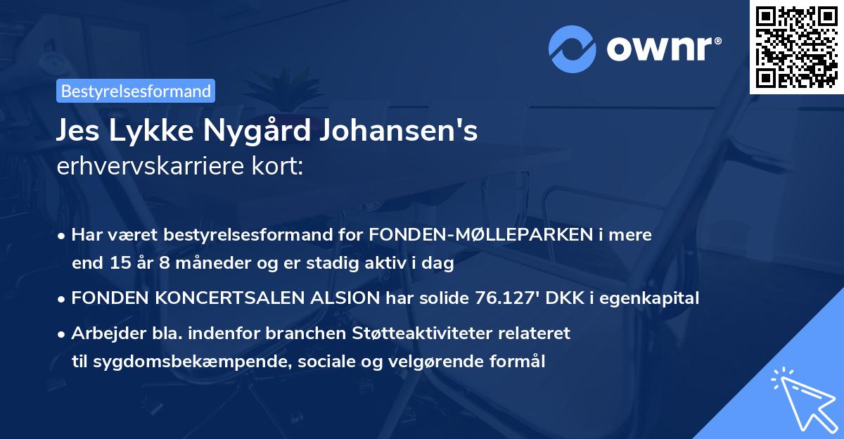 Jes Lykke Nygård Johansen's erhvervskarriere kort