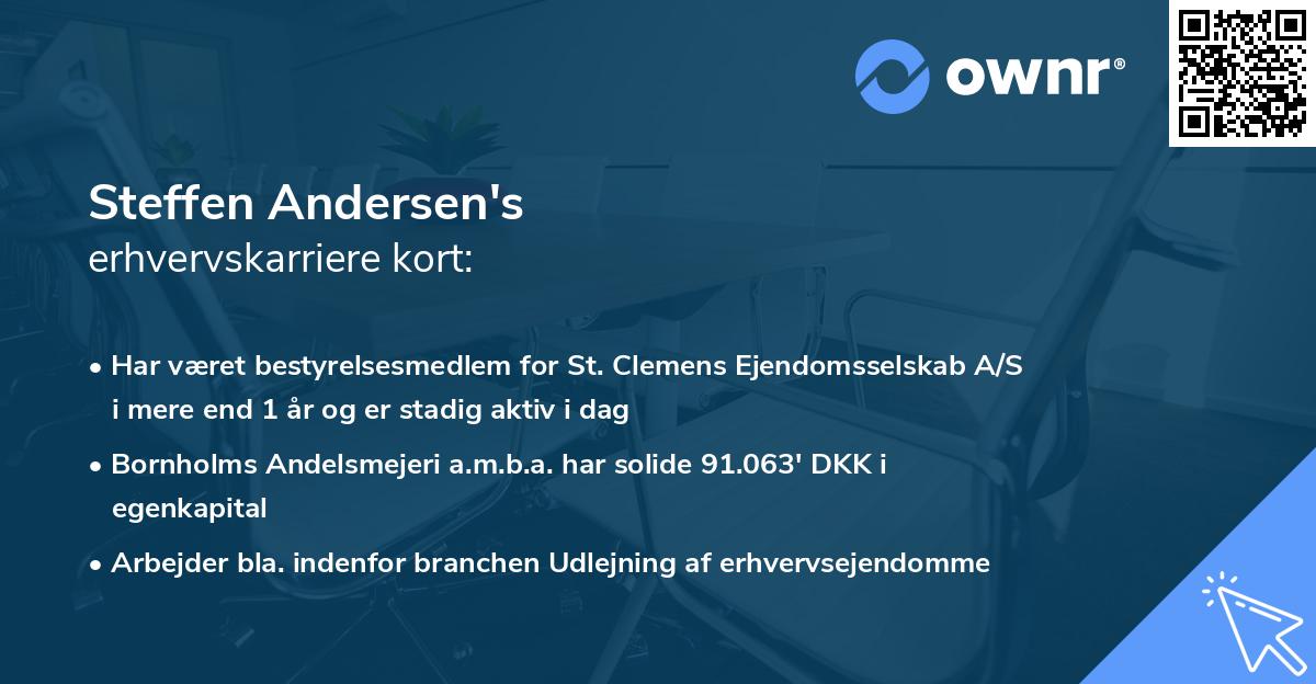 Steffen Andersen's erhvervskarriere kort