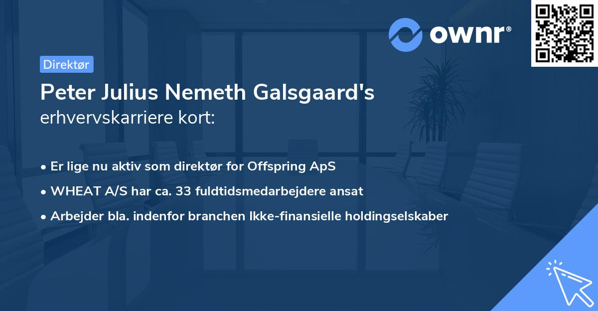 Peter Julius Nemeth Galsgaard's erhvervskarriere kort