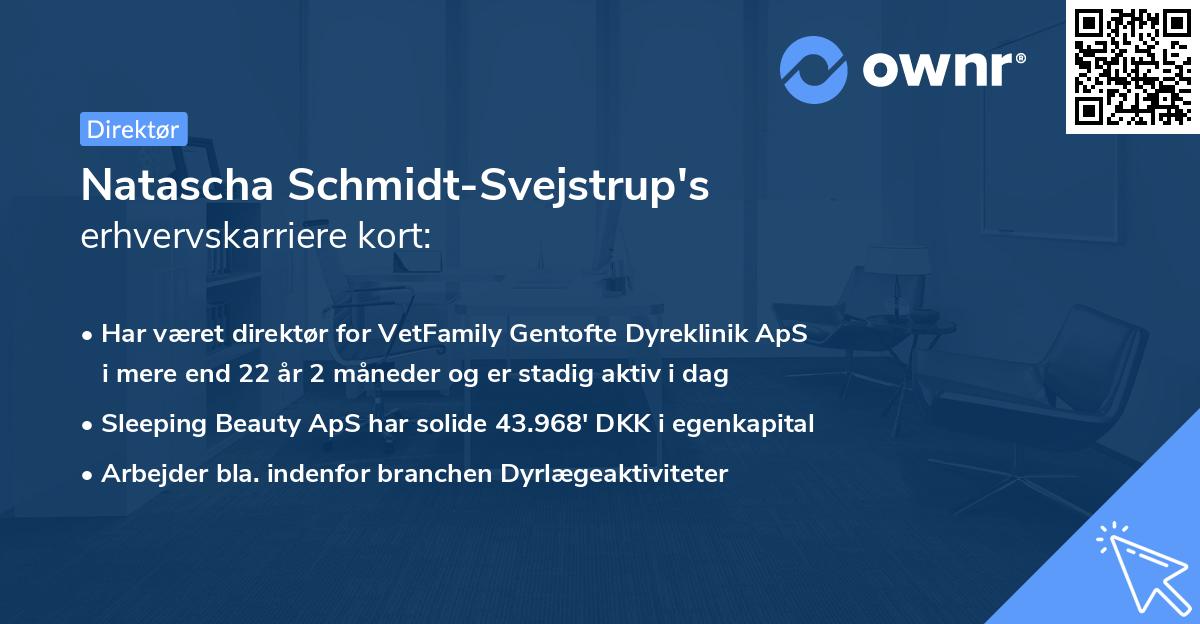 Natascha Schmidt-Svejstrup's erhvervskarriere kort