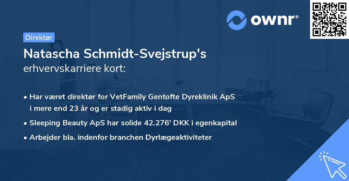 Natascha Schmidt-Svejstrup's erhvervskarriere kort