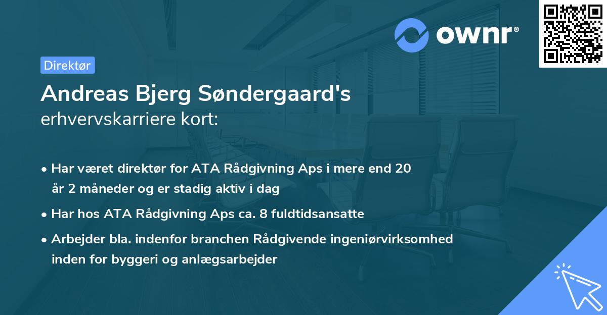 Andreas Bjerg Søndergaard's erhvervskarriere kort